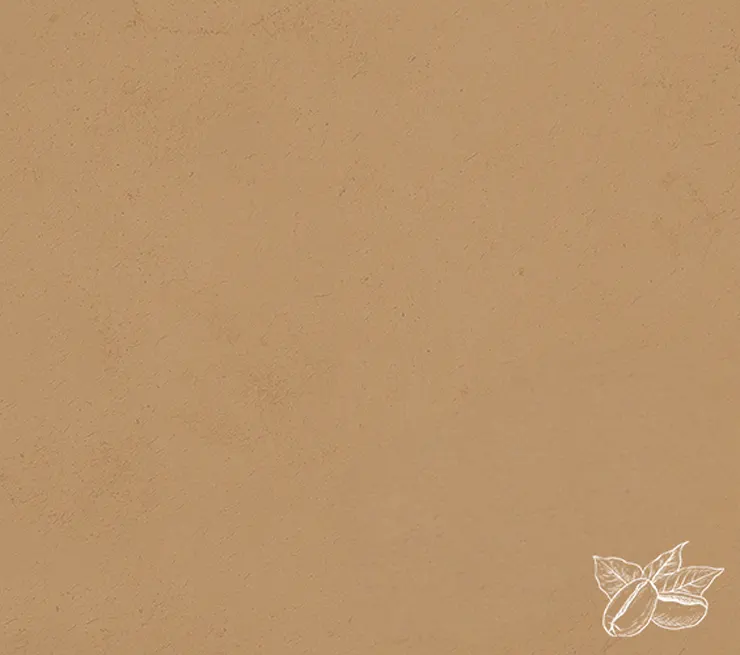 Project presentation background